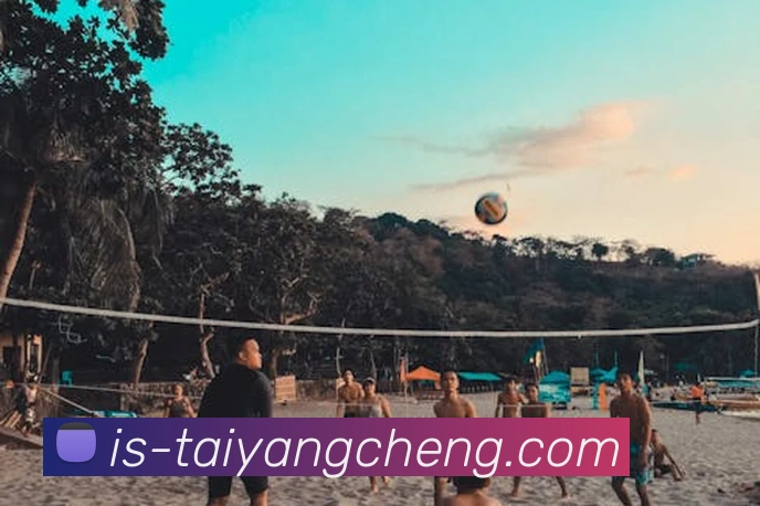 澳门太阳城官网平台生态图